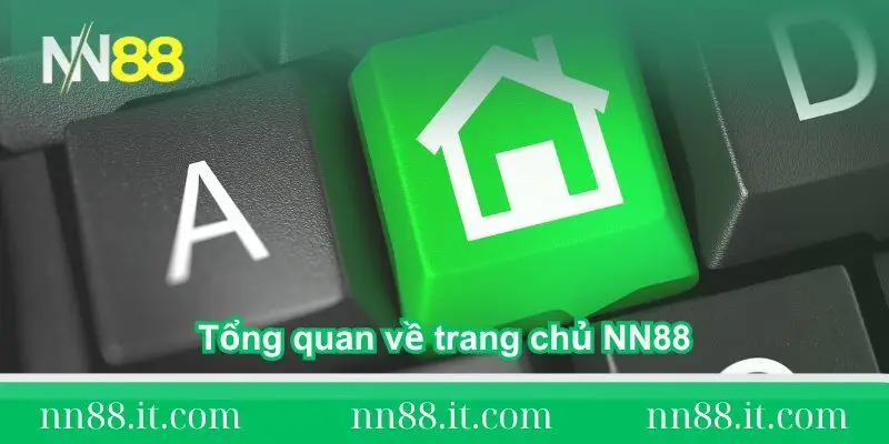NN88 - Trang chủ độc quyền của nhà cái trực tuyến NN88.com 39 tong quan ve trang chu nn88